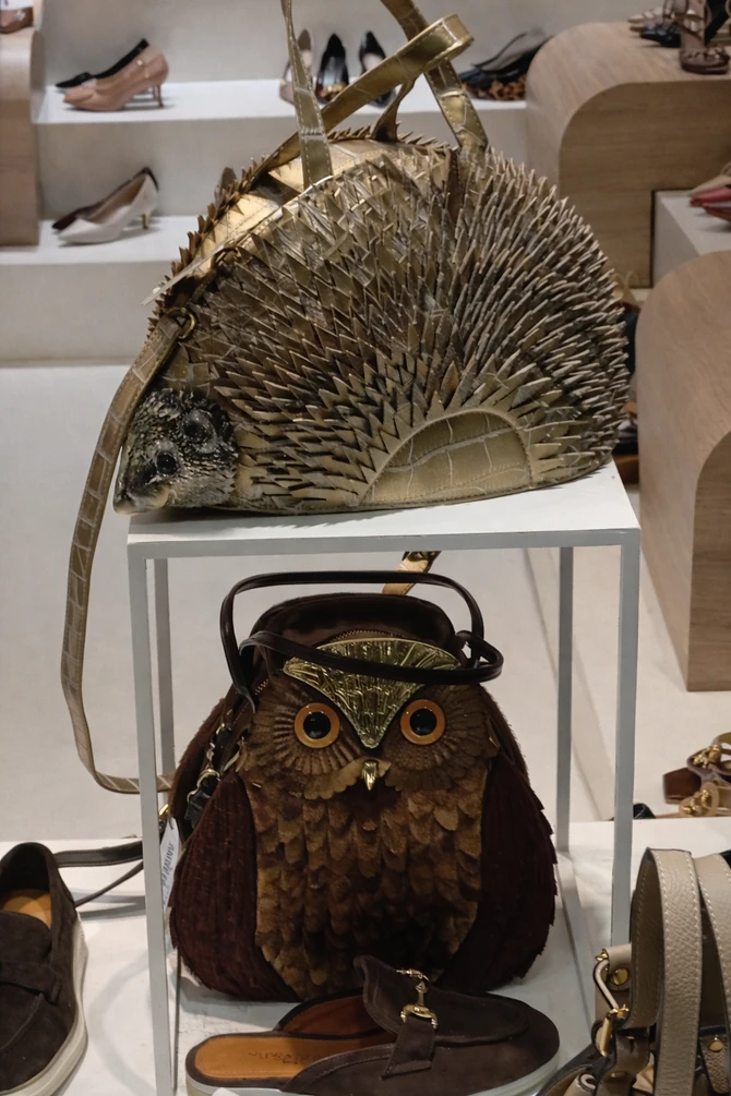 Zlatan jež i sovica