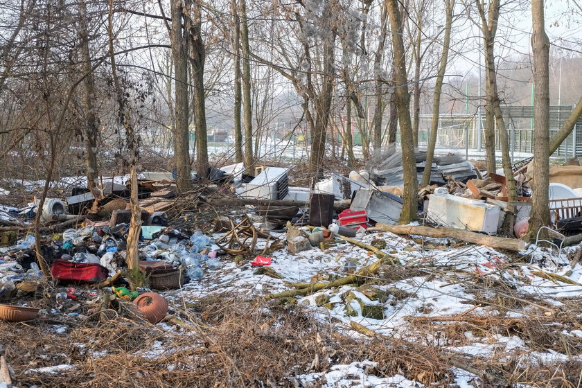 Tak wygląda okolica Cytadeli, zielonej oazy w centrum Poznania