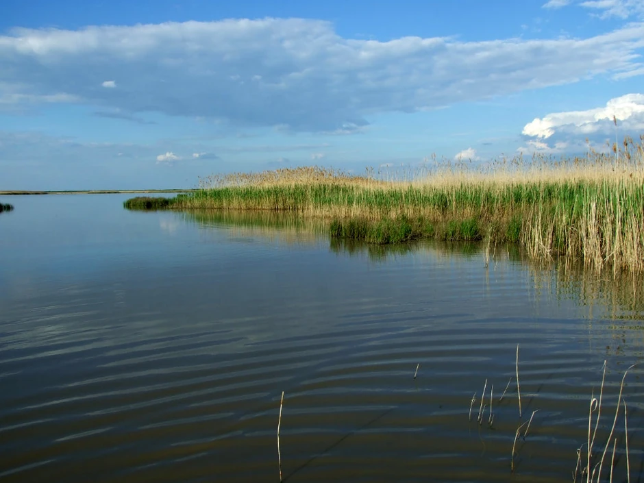 Jedno od retkih slanih jezera u našoj zemlji