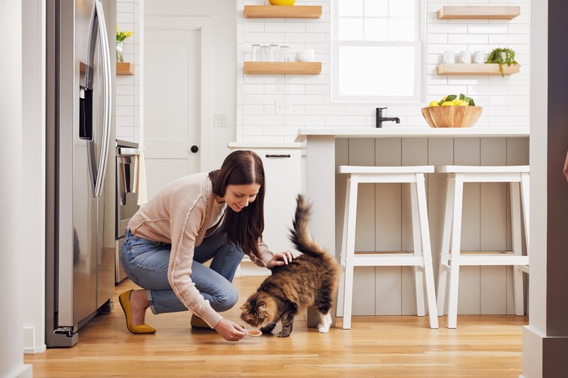 Dzień Kota: 5 faktów o kotach, które mogą cię zaskoczyć