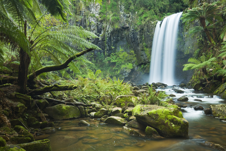 Park Narodowy Great Otway, USA