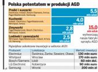 Jeszcze w tym roku Polska może być liderem produkcji AGD w Europie