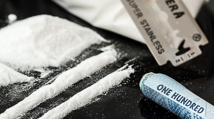  Lipljanban foglalták le a hatalmas mennyiségű kokaint / Illusztráció: Pixabay