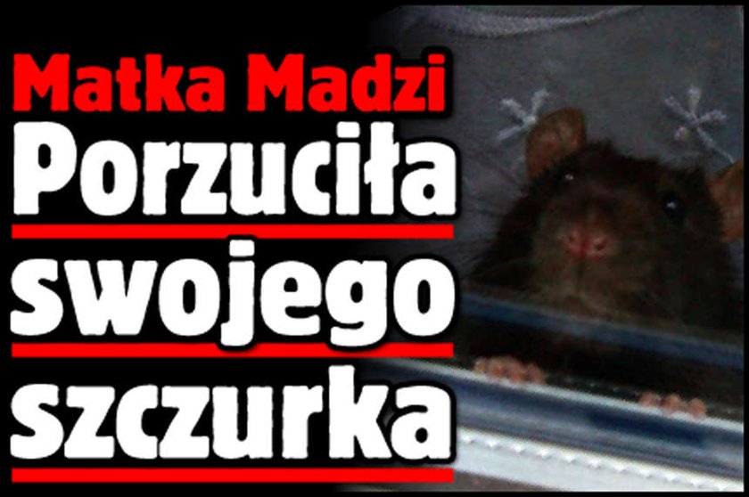 Bezduszna! Matka Madzi porzuciła nawet szczurka!