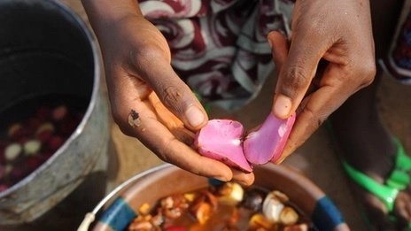 Huit bienfaits de la cola