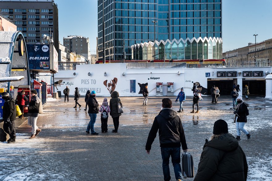 Rasowy Kundel. Charytatywny mural powstał w centrum Warszawy!