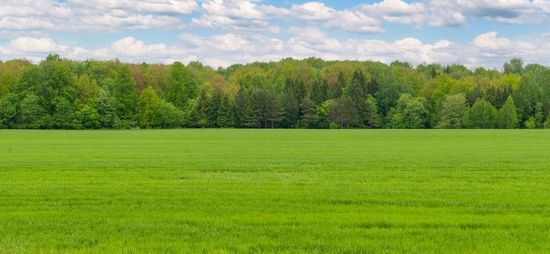 Ceny działek biją rekordy. Gdzie zapłacisz najwięcej za 1 m² w 2025?