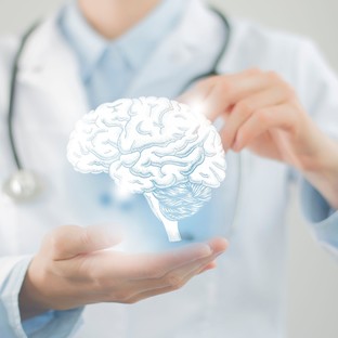 Élő emberi agyszöveteken kísérletezik ki a neurodegeneratív betegségek elleni hatóanyagot