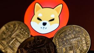 Memecoins are on the rise again as bitcoin trades near all-time highs in 2024.Jakub Porzycki/Getty Images
