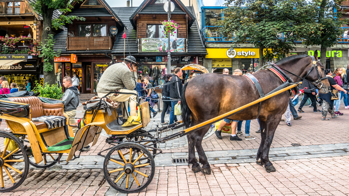 Koniec reklamozy w Zakopanem? Znikną bilbordy? Tak kombinują górale