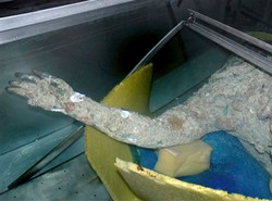 Rybak wyłowił skarb sprzed 2 tysięcy lat