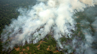 Brazylia: wojsko rusza do walki z pożarami w Amazonii