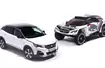 Peugeot 3008 i 3008 DKR