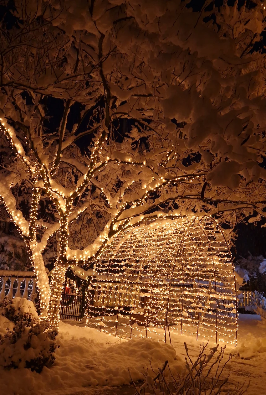 Svetlosna atrakcija u Višnjićevu