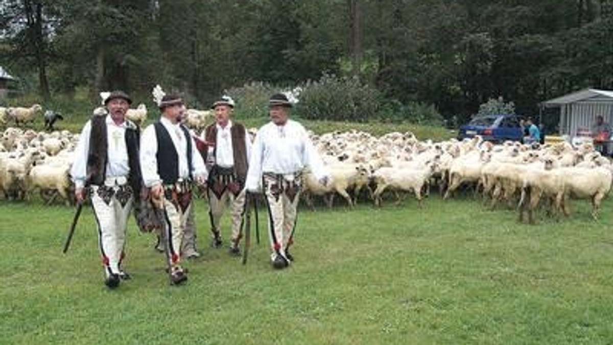 Aż do października potrwa cykl góralskich imprez organizowanych na terenie całego powiatu tatrzańskiego. To będzie najdłuższy szereg imprez organizowanych na Podhalu. Tegoroczne, XII Tatrzańskie Wici potrwają aż do października. Góralskie imprezy rozpoczną niedzielne wybory miss Podhala czyli  Nośworniyjsyj Góralecki w Białym Dunajcu.