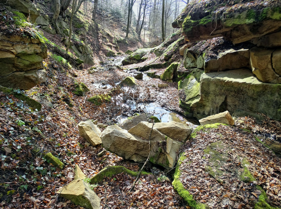 Most Jana Stacha (Most Mocarza) w Znamirowicach nad Jeziorem Rożnowskim