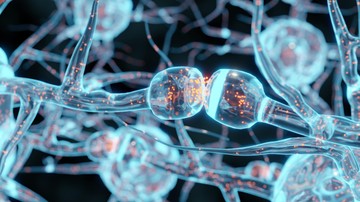 Működhet-e az ultrahangkezelés az Alzheimer-kór ellen?