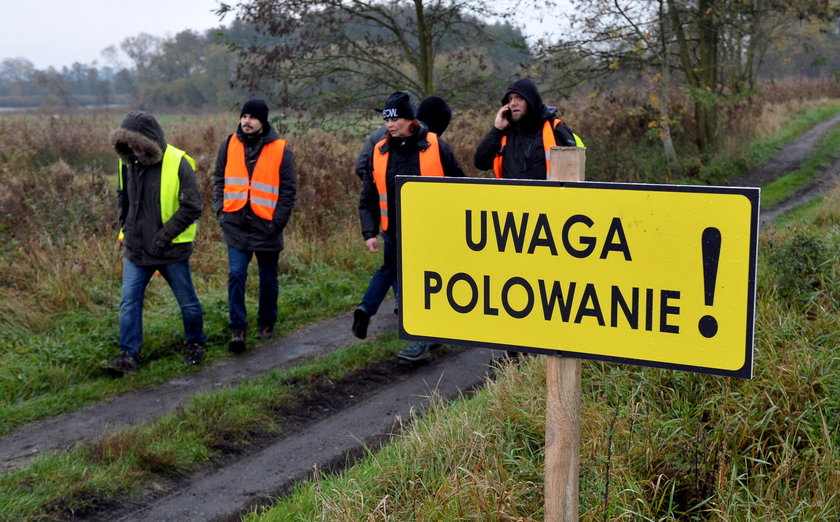 Obrońcy zwierząt nie dopuścili do polowania. Oto, co zrobili