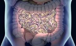 Bakterie jelitowe mogą zmieniać reakcję na leczenie nowotworów