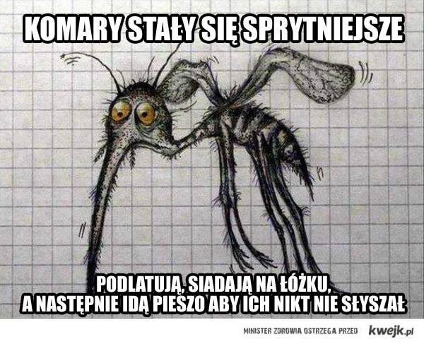 Galeria najlepszych MEMów minionego tygodnia