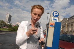 Obowiązek umieszczania biletu z parkometru za szybą zgodny z prawem. Przynajmniej w Szczecinie