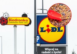 Przebadali rodzynki z Lidla i Biedronki. Wyniki są zatrważające