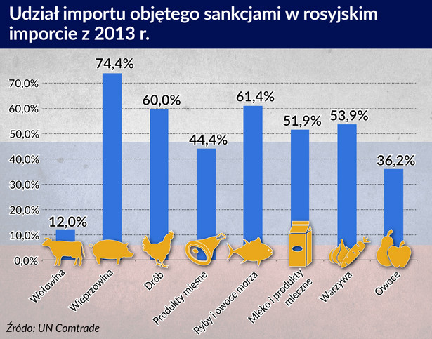 Udział importu objetego sankcjami w rosyjskim imporcie