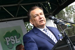 Struzik: JST nie przejmą wiaduktów kolejowych, bo brak jest do tego podstaw prawnych