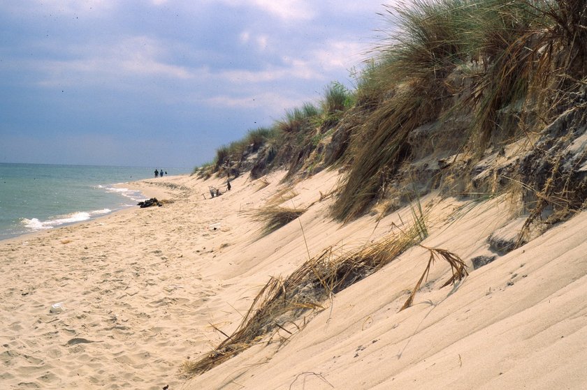 Plaża na Helu