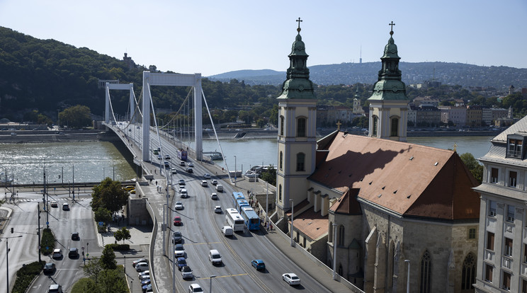 Kizöldül a Belváros / Fotó: Czerkl Gábor