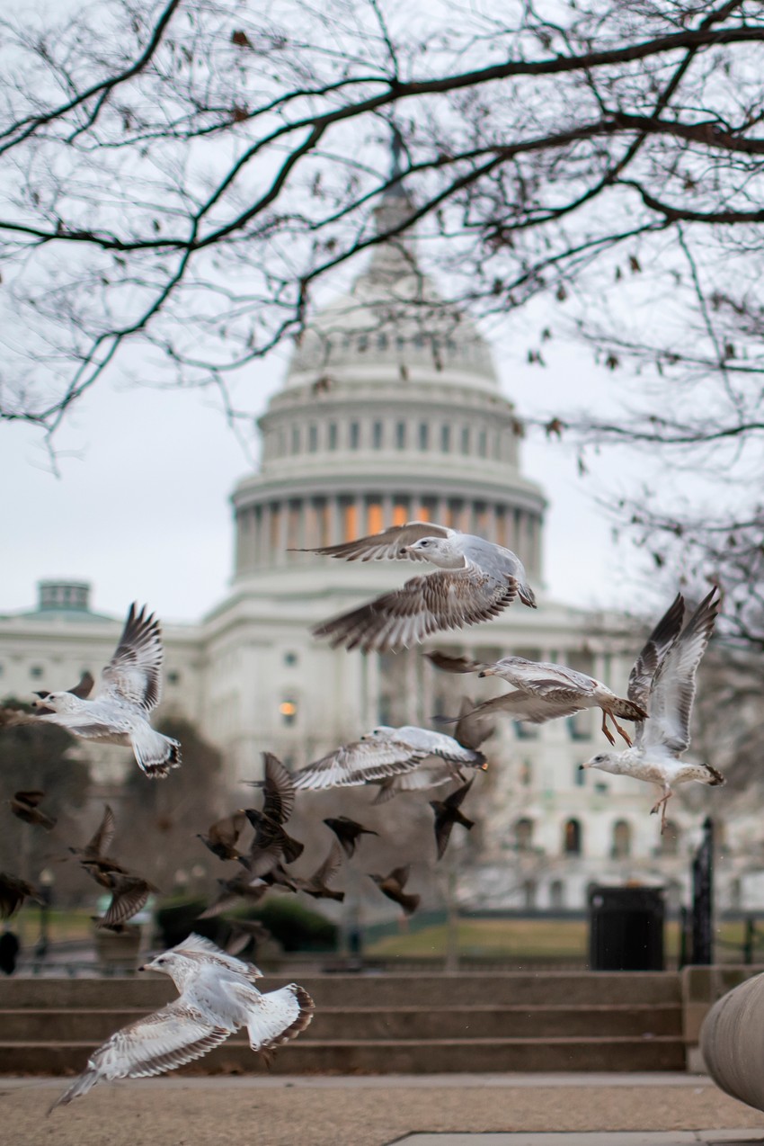 Zgrada američkog Kongresa