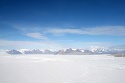 "WSJ": Trump może pozwolić na ponowne odwierty w Arktyce