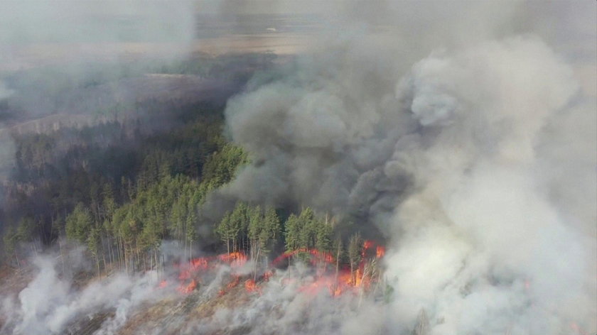 Pożary w lasach w okolicy Czarnobyla