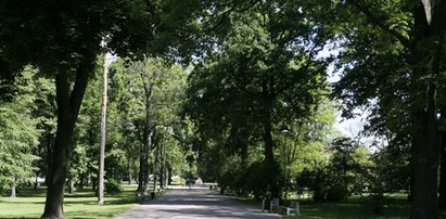 Makabryczne odkrycie w białostockim lesie