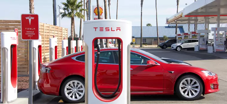 Tesla chce zawstydzić innych producentów. Na rynek trafi rekordowa liczba aut