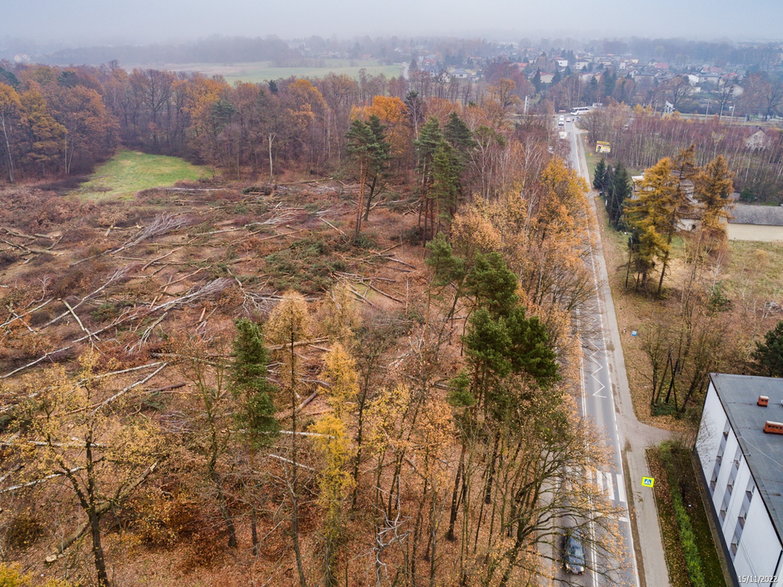 Budowa drogi ekspresowej S-1 - odcinek węzeł Oświęcim - Dankowice - zdjęcia z drona - 15.11.2022 - autor: GDDKiA