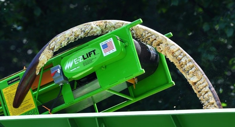 Ivory is put into a crusher during #IvoryCrush in Central Park, New York