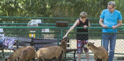 Pożegnanie lata w Starym Zoo