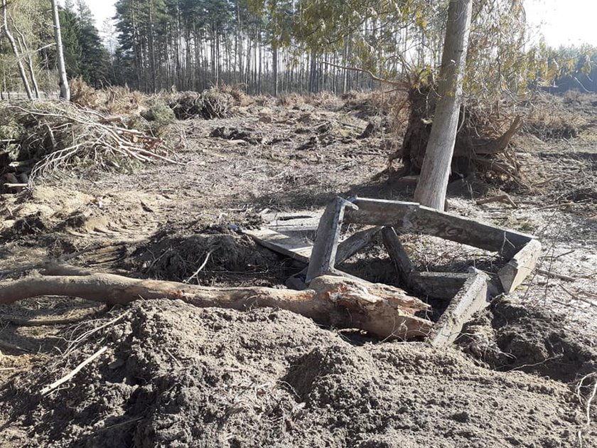 Na cmentarzu wykarczowano drzewa razem z nagrobkami. Zniszczenia dokonał proboszcz?