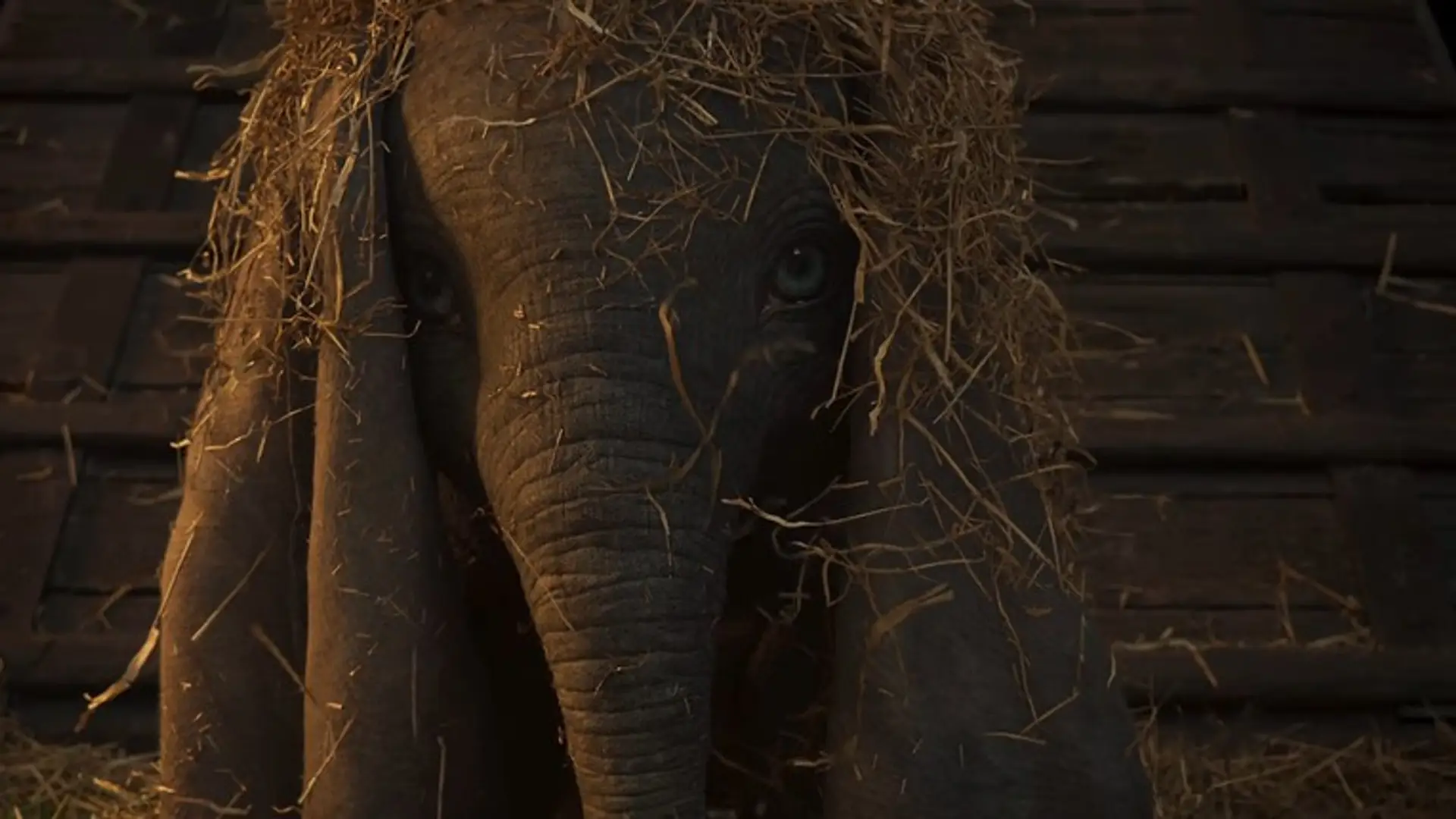 Nowy film o słoniku Dumbo - już sam trailer wzrusza i zachwyca