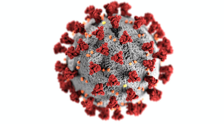Tongán a járvány kezdete óta most azonosították az első fertőzöttet /Illusztráció: Pexels