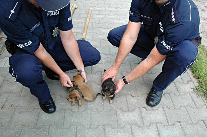 Policjanci pospieszyli na ratunek bezbronnym szczeniaczkom