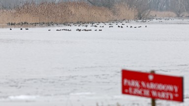 Ruszyła budowa ośrodka muzealno-edukacyjnego w Słońsku