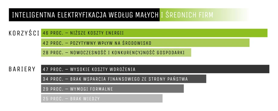 Inteligentna elektryfikacja według małych i średnich firm