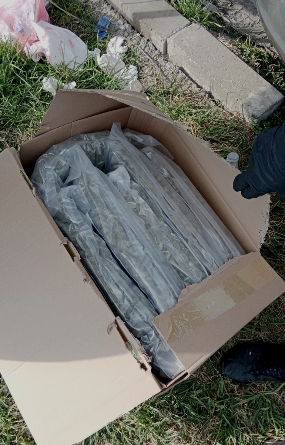 Zaplenjeni narkotici