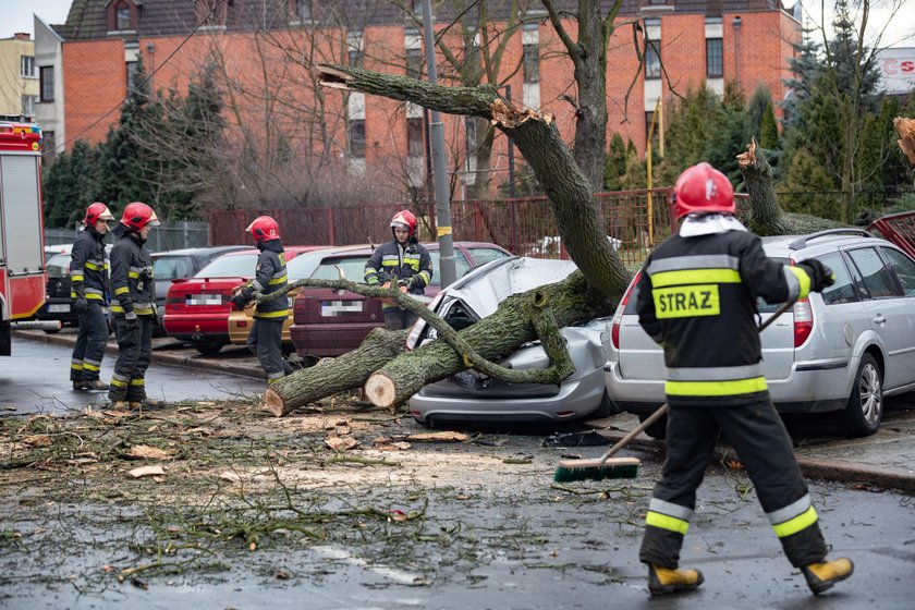 Szalejąca wichura w Szczecinie i w okolicach