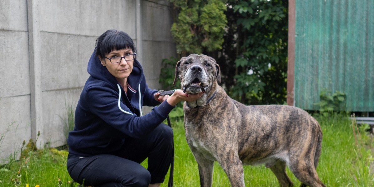 Łódzkie schronisko zasypane prośbami o adopcję