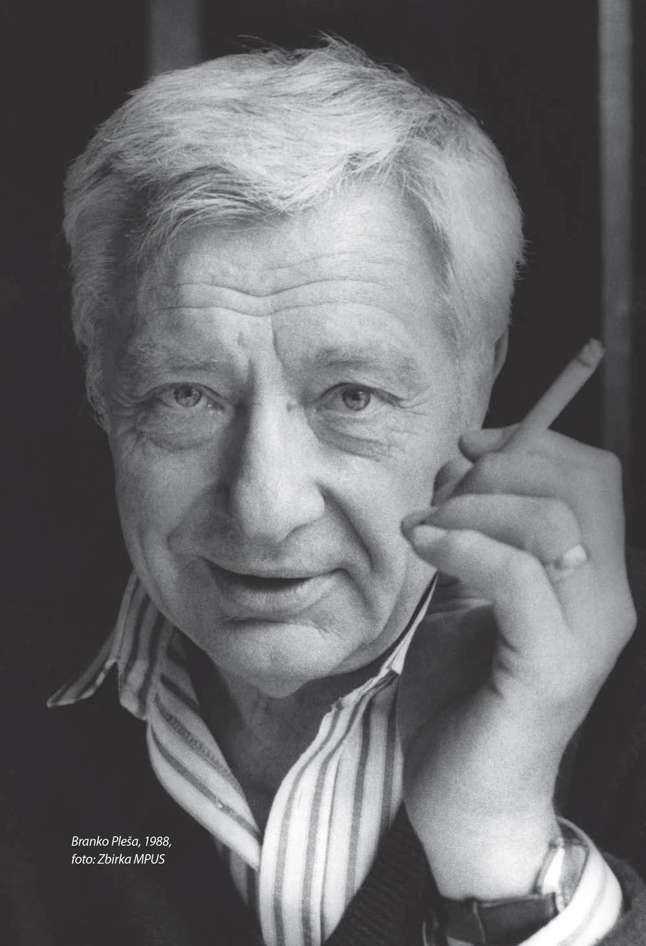 Branko Pleša