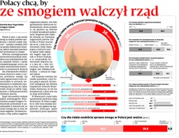 Polacy chcą, by ze smogiem walczył rząd