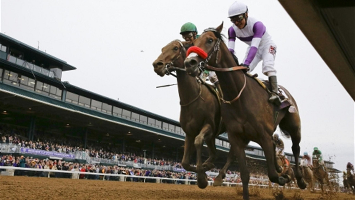 Nyquist pokazał, że jest w znakomitej formie na drodze do Kentucky. W sobotę wygrał gonitwę Grupy 1 Florida Derby na torze Gulfstream Park. Zwycięstwo utwierdziło jego mocne, drugie miejsce w rankingu Kentucky Derby, na którego koncie ma już 130 punktów.